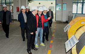 2015年11月22日，郎溪縣黨政代表團一行來上上電纜參觀考察