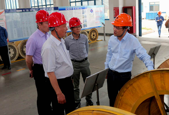 2016年5月14日，寧夏回族自治區(qū)人民政府研究室副主任蘇昀一行來(lái)上上電纜調(diào)研