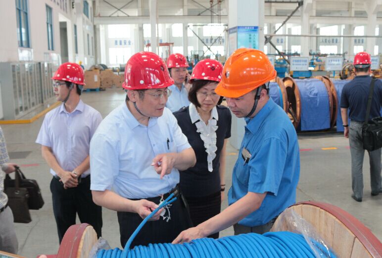 2016年7月22日，瀘州市委常委、副市長(zhǎng)王建翔一行來(lái)上上電纜參觀考察