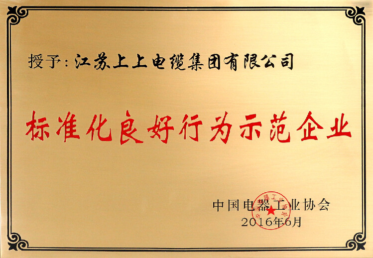 標(biāo)準(zhǔn)先行促發(fā)展，上上電纜再獲殊榮