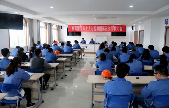 2016年4月20日，共青團(tuán)江蘇上上電纜集團(tuán)第五次代表大會(huì)召開(kāi)