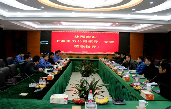 上海電力公司、上纜所領導、專家一行來上上電纜交流考察
