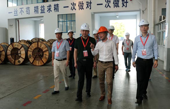 靖江市、溧陽市青商會齊聚上上電纜參觀交流