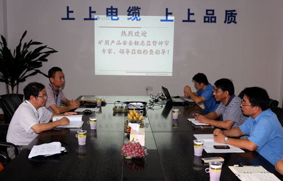 江蘇上上電纜集團(tuán)順利通過(guò)安標(biāo)現(xiàn)場(chǎng)監(jiān)督評(píng)審