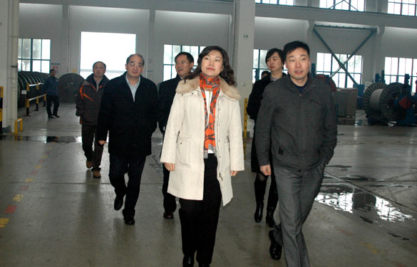 中關(guān)村管委會(huì)領(lǐng)導(dǎo)來(lái)上上集團(tuán)參觀考察